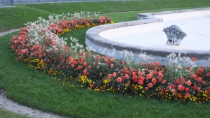 Autumn flowers along Le Champs de Mars