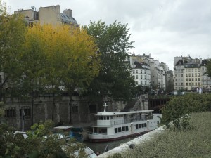 A little color across from Notre Dame