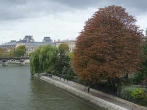 The lovely park at the point of Ile de la Cite.