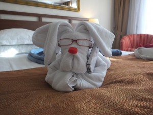 The cabin maids work hard to please you with creations like this using our towels, my glasses and phone and the top from a plastic water bottle!