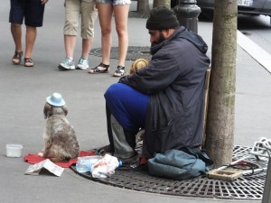 A cute little dog in a blue hat begging with his master.  He never moved an inch.  