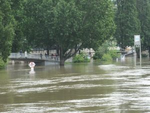 This is the Batobus (water bus) loading station, now completely underwater. 