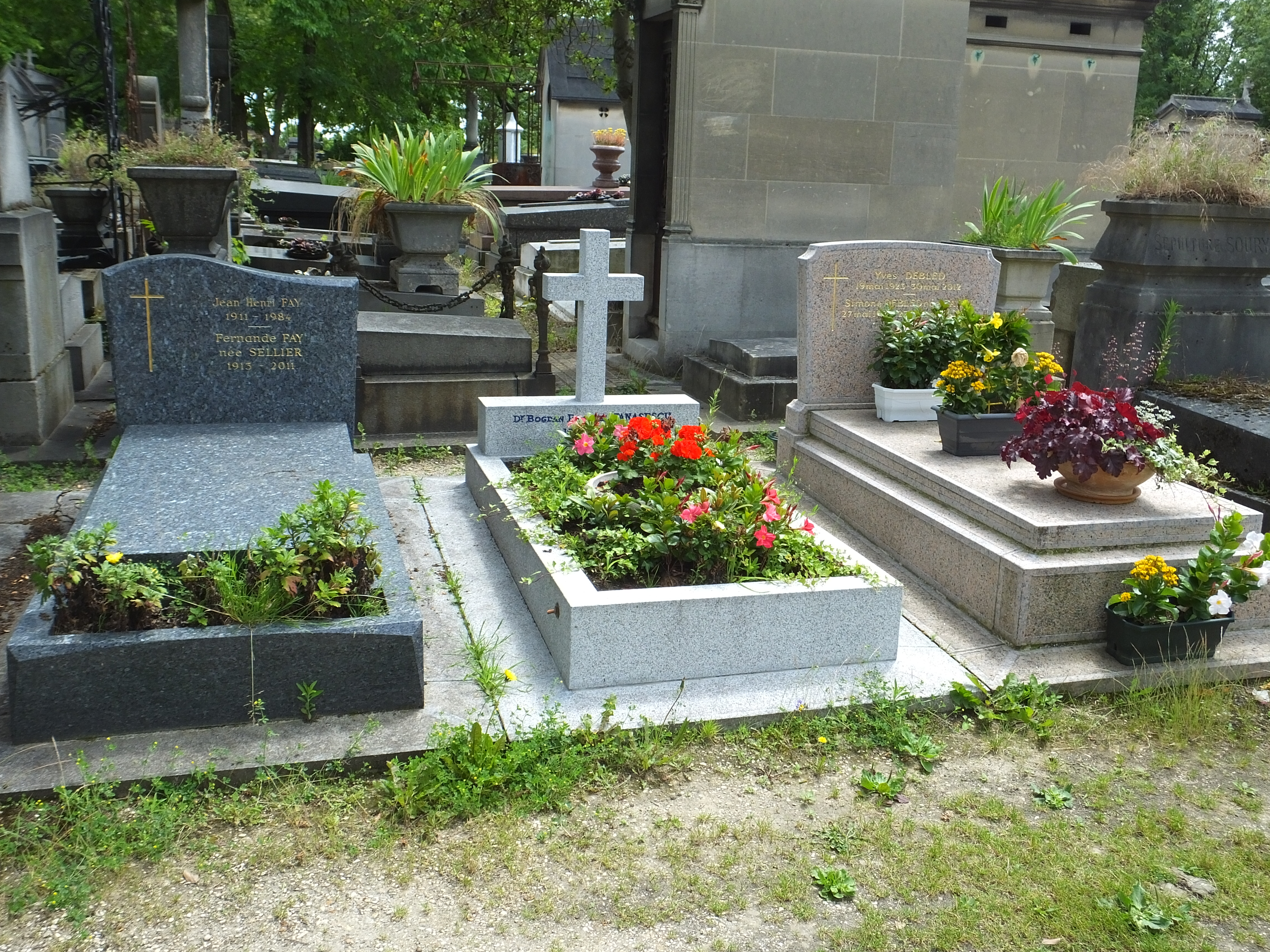 Recent new graves
